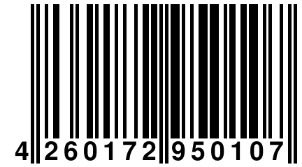 4 260172 950107