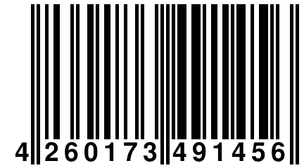 4 260173 491456