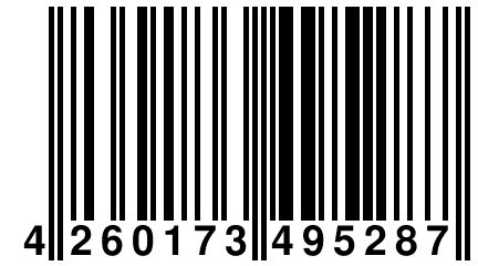 4 260173 495287