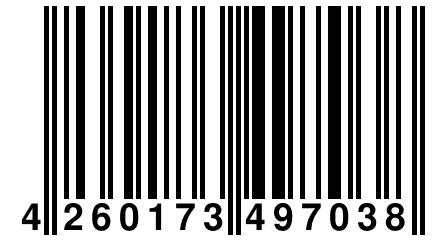 4 260173 497038