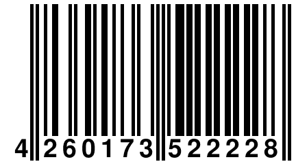 4 260173 522228