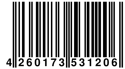 4 260173 531206