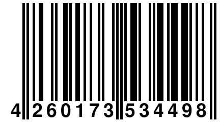 4 260173 534498