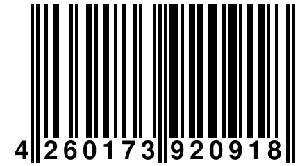 4 260173 920918