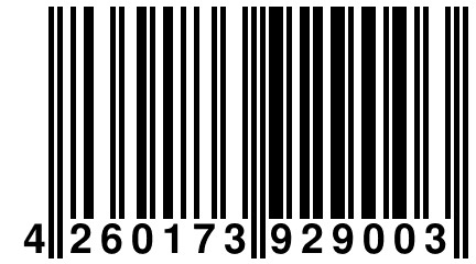 4 260173 929003