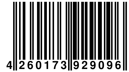 4 260173 929096