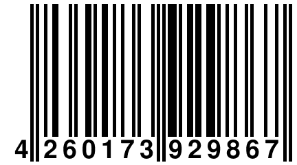 4 260173 929867