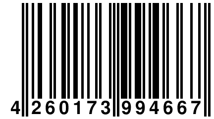 4 260173 994667