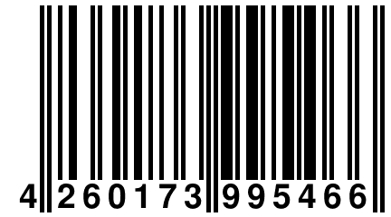 4 260173 995466