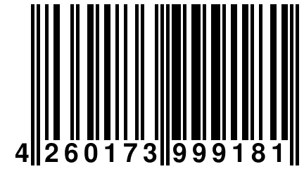 4 260173 999181