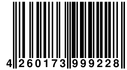 4 260173 999228