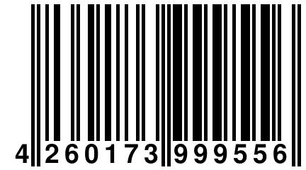 4 260173 999556