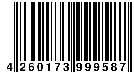 4 260173 999587