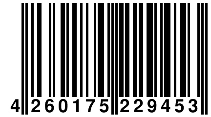 4 260175 229453