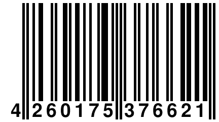 4 260175 376621