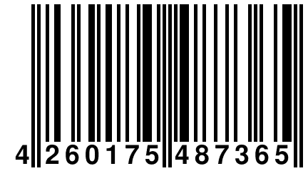 4 260175 487365