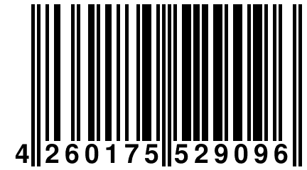 4 260175 529096