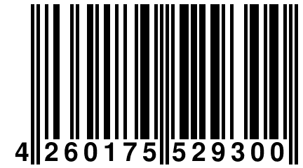 4 260175 529300