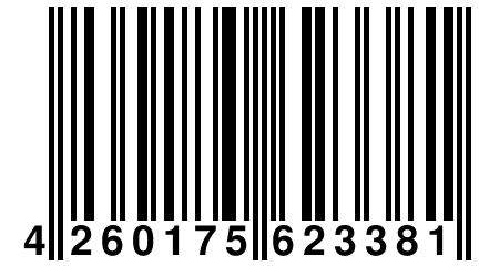 4 260175 623381