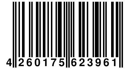 4 260175 623961