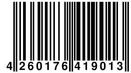 4 260176 419013