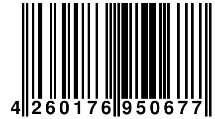 4 260176 950677