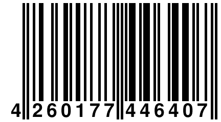 4 260177 446407