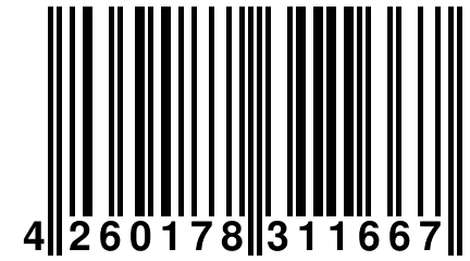 4 260178 311667