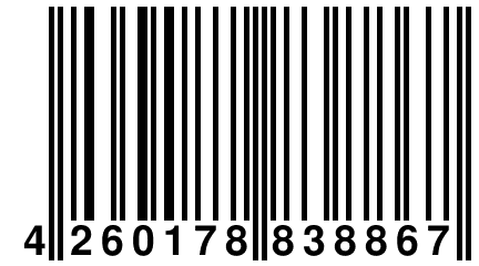 4 260178 838867