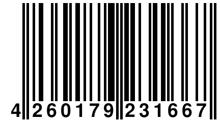 4 260179 231667