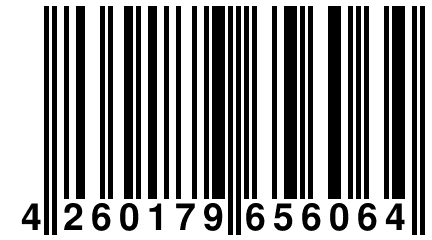 4 260179 656064