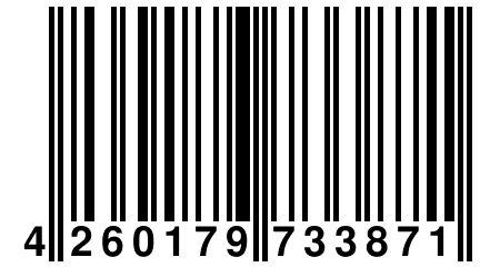 4 260179 733871