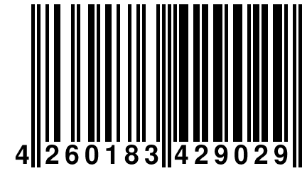 4 260183 429029