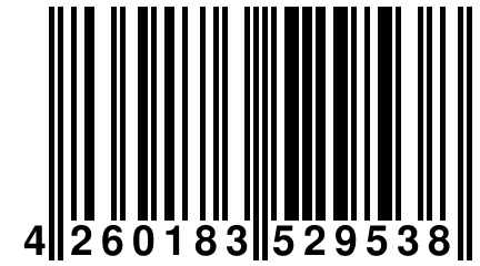 4 260183 529538