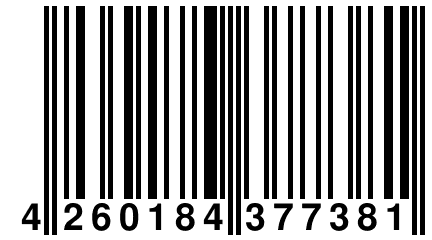 4 260184 377381