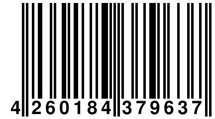 4 260184 379637