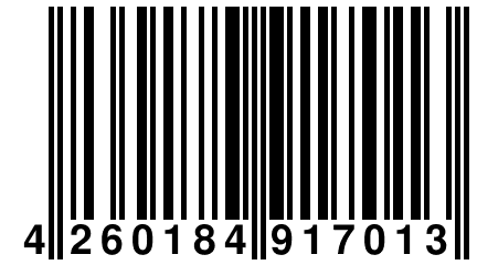 4 260184 917013