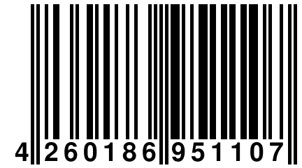 4 260186 951107