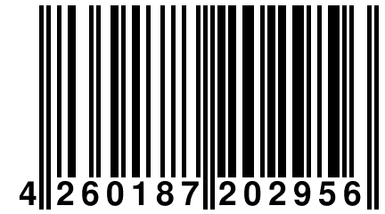 4 260187 202956