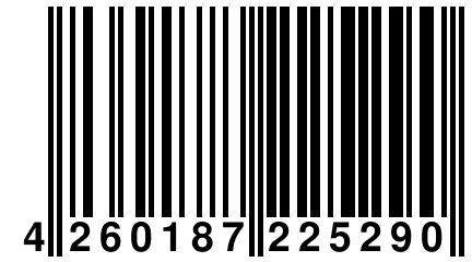 4 260187 225290