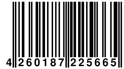 4 260187 225665