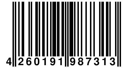 4 260191 987313