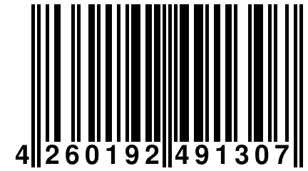 4 260192 491307