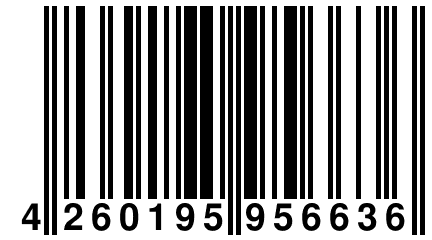 4 260195 956636