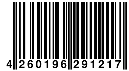 4 260196 291217