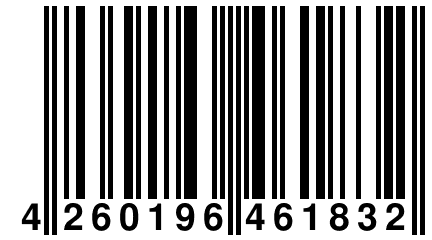 4 260196 461832