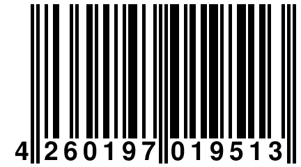 4 260197 019513