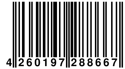 4 260197 288667