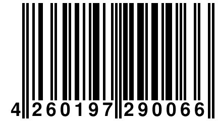 4 260197 290066