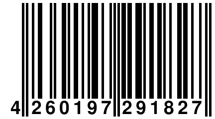 4 260197 291827